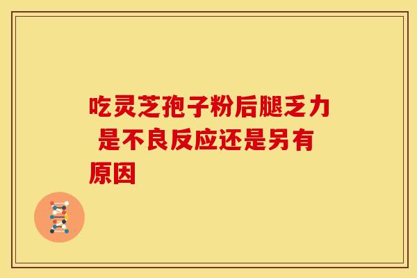 吃灵芝孢子粉后腿乏力 是不良反应还是另有原因