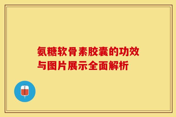 氨糖软骨素胶囊的功效与图片展示全面解析